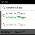 Chrome Flags Enable Npapi: описание, настройка и отзывы Быстрое закрытие вкладки